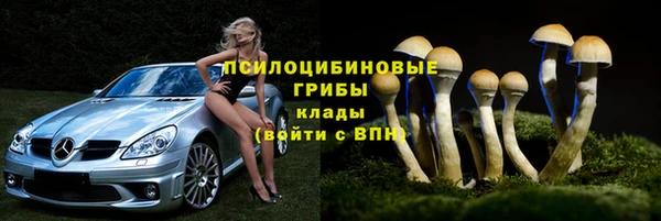 ешки Абинск
