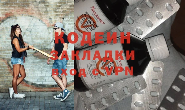индика Абаза